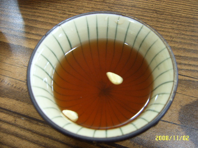 참가자미집 이미지