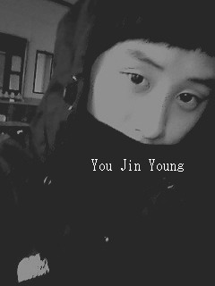 푸리 이미지