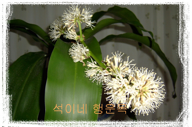 석이네집 이미지