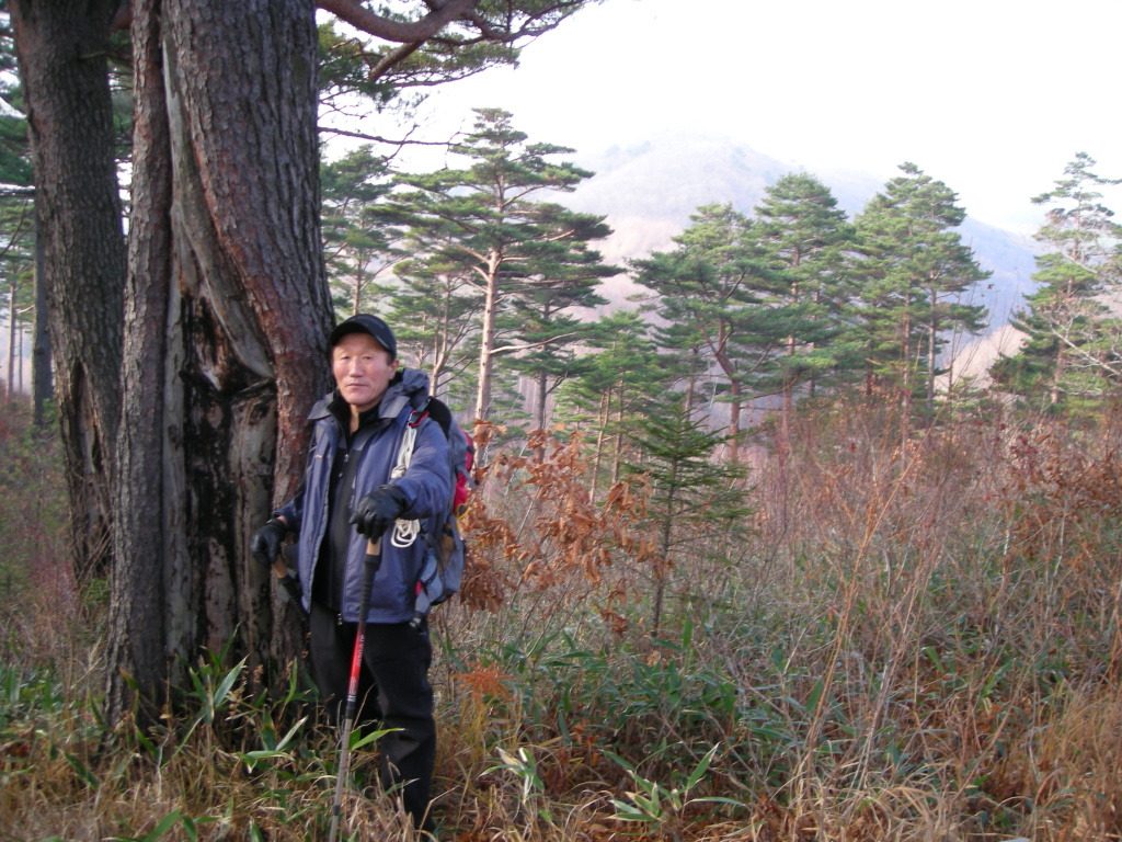 왕산1 이미지