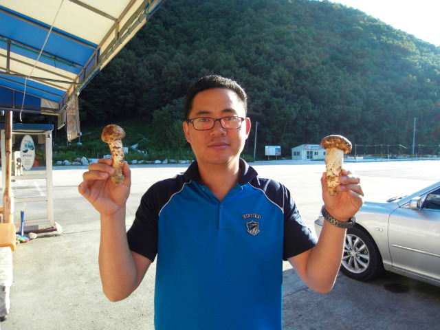 거시기유 이미지