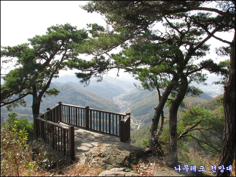 비학산4코스정상 이미지