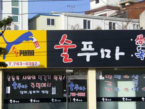 술푸마 이미지