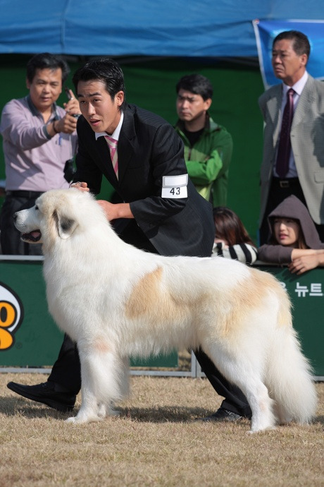 루커 이미지