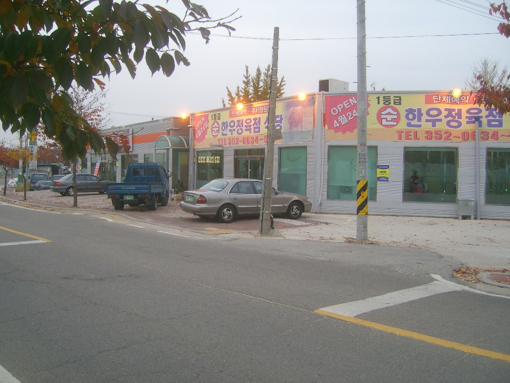 순한우 이미지
